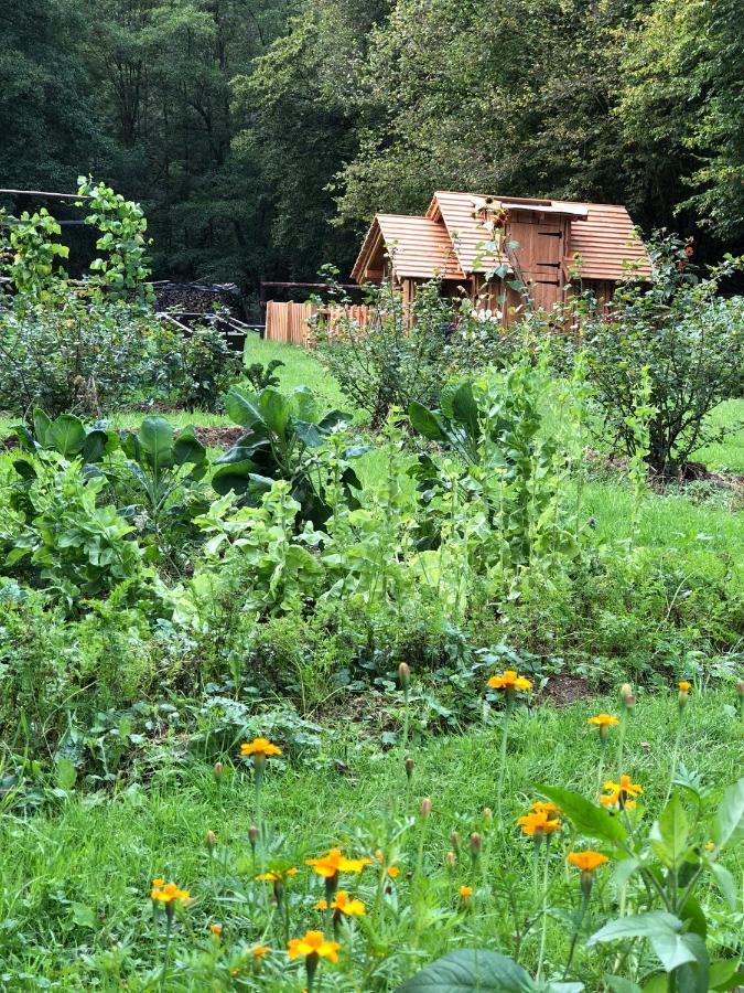Loeffelmuehle Boutique Bed And Breakfast Pillig Esterno foto