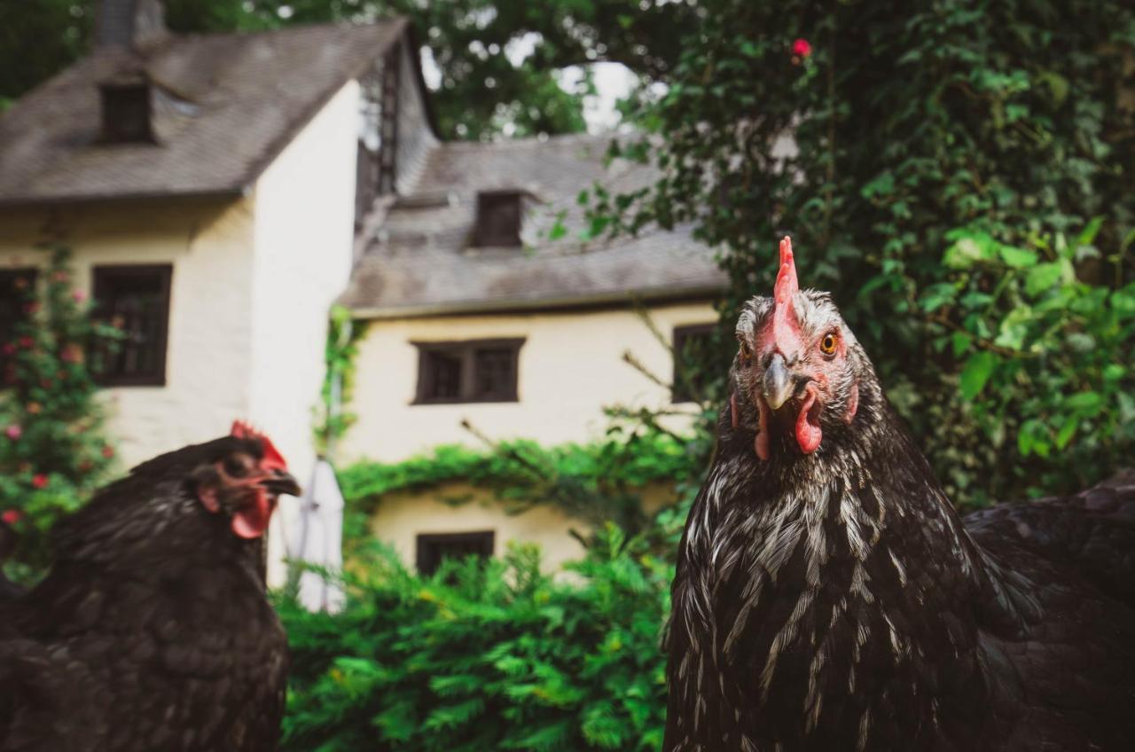 Loeffelmuehle Boutique Bed And Breakfast Pillig Esterno foto